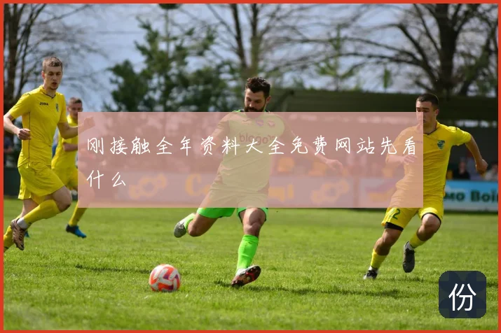 刚接触全年资料大全免费网站先看什么